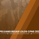 Raih Mimpi Lolos CPNS: Formasi CPNS Sepi Peminat 2024