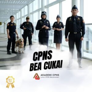 cpns bea cukai